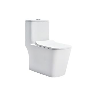 Cera Charm 6D One Piece EWC S 300 Snow White