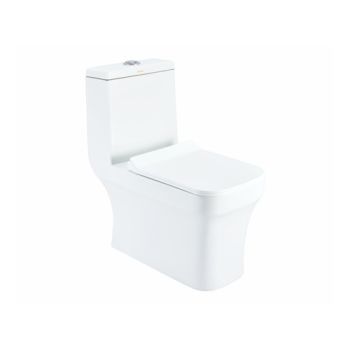 Cera Chive One-Piece Rimless EWC (S-Trap 300 mm) - Snow White