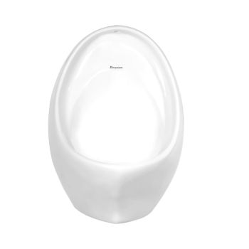 Parryware Niagara N Wall-Mounted Ceramic Urinal with E8113 Spreader - White (C0579 + E8113)