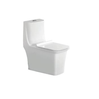 Parryware Canvas Rimless Single Piece Suite S 220