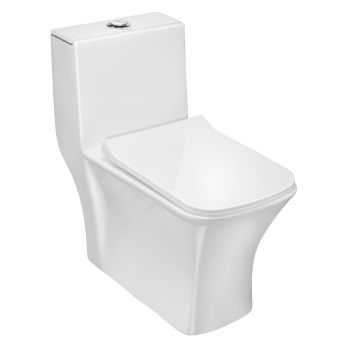 Parryware Aster Rimless Single Piece Suite S 230